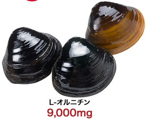 ���{�f�B25000�̃I���j�`���̌��̃V�W�~